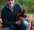 Free range eggs